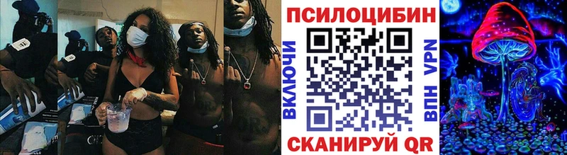 гидра как зайти  Кизел  Галлюциногенные грибы Cubensis 